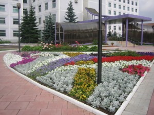 Садовник