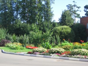 Садовод